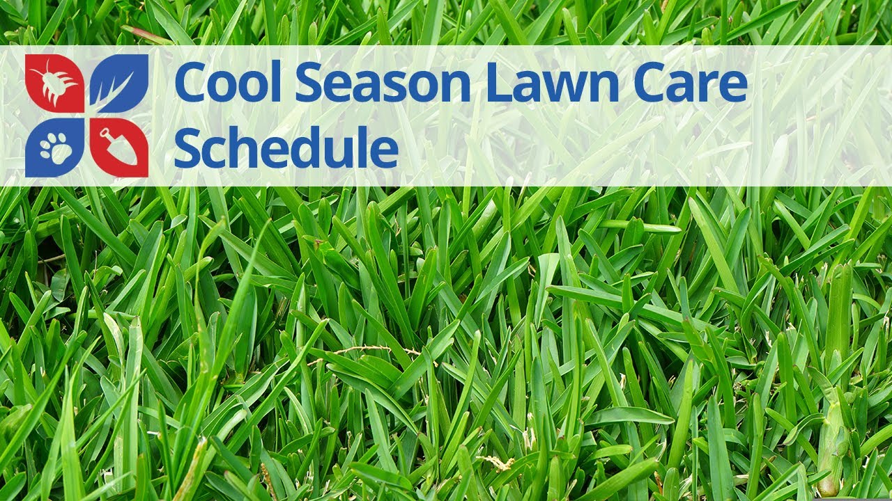 Year-Round Cool-Season Lawn Care Calendar | DoMyOwn.com