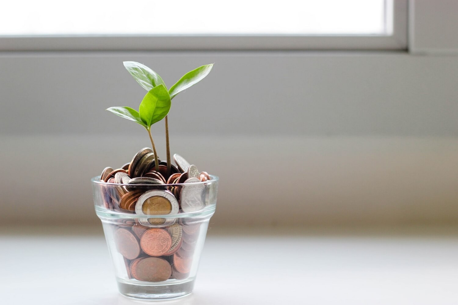 Glass with money and a little plant