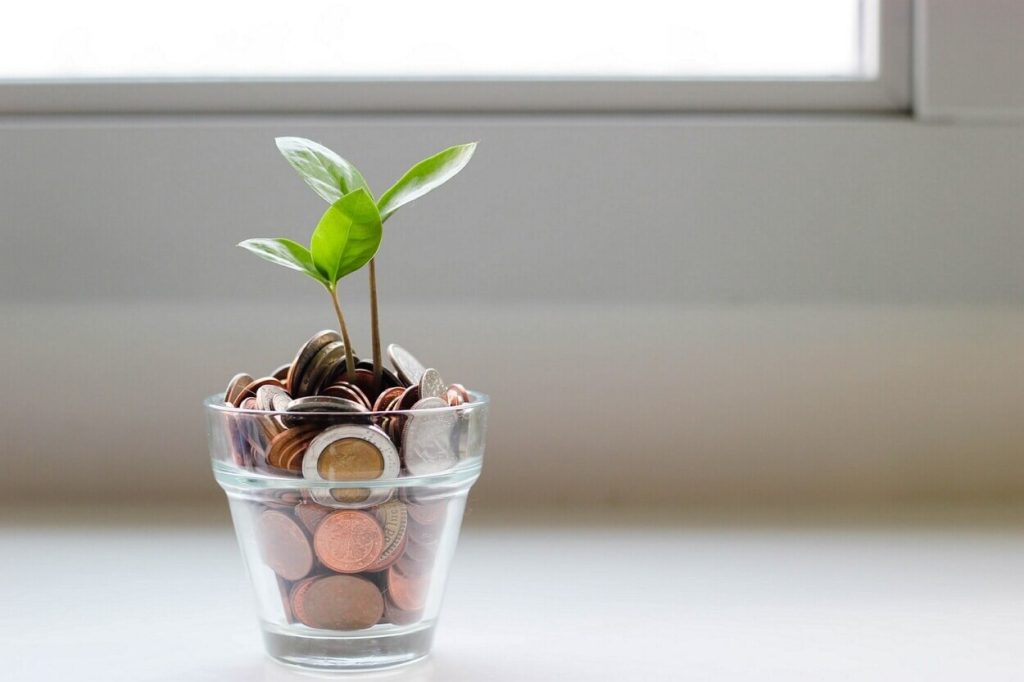Flower in a jar of money