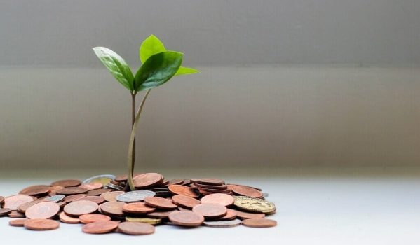 money and a plant, money saving, cmms cost