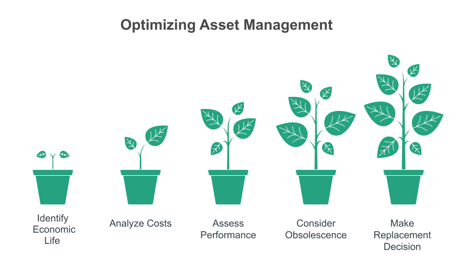 Optimizing asset management